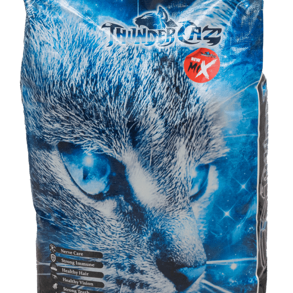 Thunder Cat